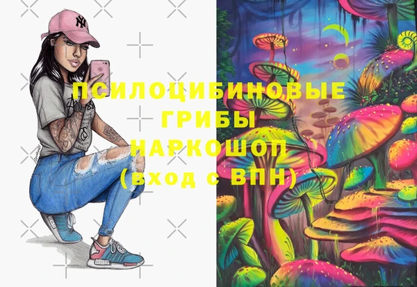 соль ск Ступино