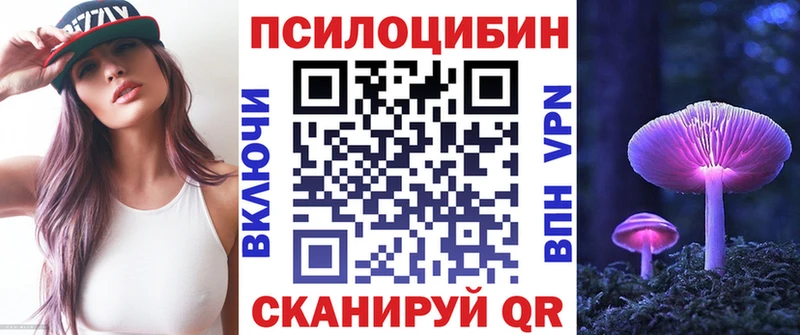 Псилоцибиновые грибы Psilocybe Новопавловск