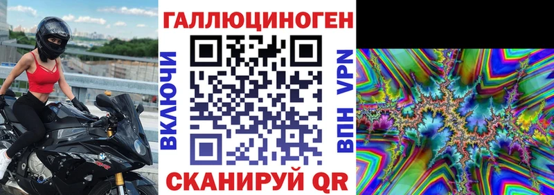 Галлюциногенные грибы Psilocybe  это официальный сайт  Новопавловск  блэк спрут ССЫЛКА 